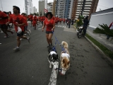 We Run Lima 10K Nike 2011 (20)